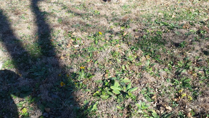 20151114_130141.jpg