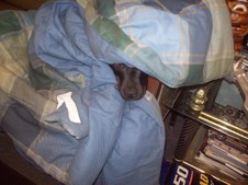 Enlarge photo 32