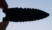 Enlarge photo 133