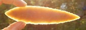 Enlarge photo 243