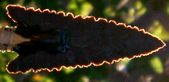 Enlarge photo 41