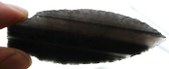 Enlarge photo 55