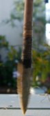 Enlarge photo 63