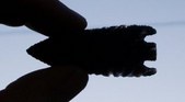 Enlarge photo 187