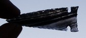 Enlarge photo 188