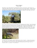 Enlarge Microsoft Word Document 162