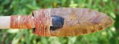 Enlarge photo 84
