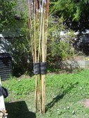 Enlarge photo 223