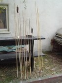 Enlarge photo 236