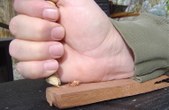 Enlarge photo 248