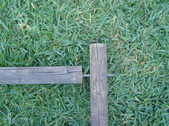 Enlarge photo 275