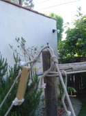 Enlarge photo 282