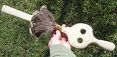 Enlarge photo 318