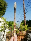 Enlarge photo 51