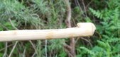 Enlarge photo 69