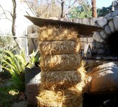 Enlarge photo 127