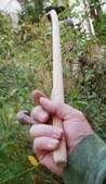 Enlarge photo 130