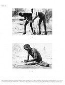 Enlarge photo 100
