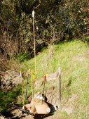 Enlarge photo 107