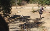 Enlarge photo 119