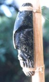 Enlarge photo 27