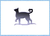 The Cats