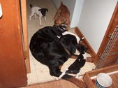 Enlarge photo 13