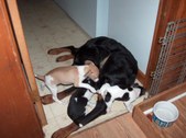 Enlarge photo 11