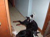 Enlarge photo 12