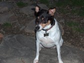 Miss Kayla Marie 