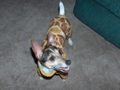 Our Female Rat Terriers