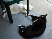Enlarge photo 7