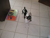 Enlarge photo 13