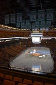 Bruins get killed