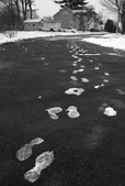 First snow 2008