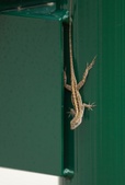 Enlarge photo 14