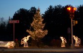 Holiday Stroll & Lights around Town