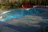 The backyard.