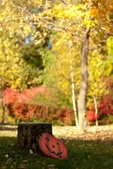 Enlarge photo 10
