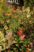 Enlarge photo 20