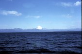Enlarge photo 49