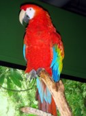 Enlarge photo 129