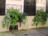 Enlarge photo 139