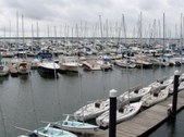 Enlarge photo 69