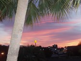 Enlarge photo 133