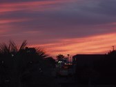 Enlarge photo 135