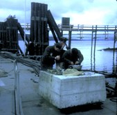 Enlarge photo 49