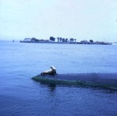 Enlarge photo 53