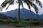 Enlarge photo 35