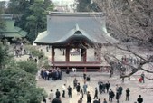 Enlarge photo 43